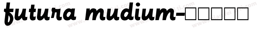 futura mudium字体转换